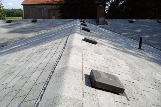 roof6.jpg