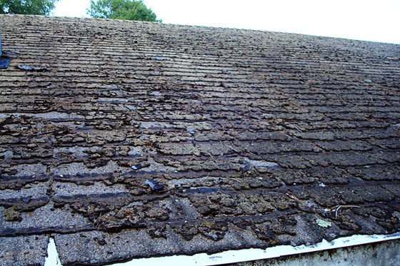 roof1.jpg